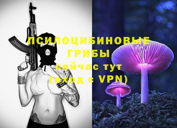 метамфетамин Богданович