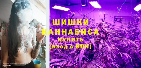 СК Богородск