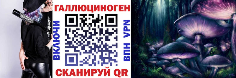 Псилоцибиновые грибы Psilocybe  Городовиковск 